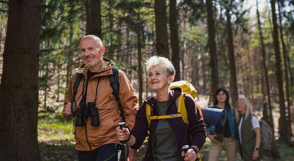 waarom regelmatig wandelen